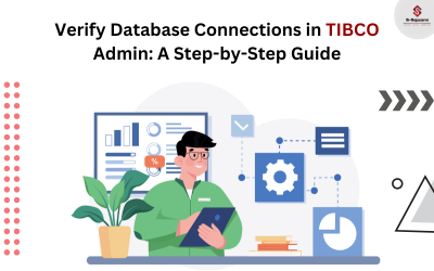 A Practical Step By Step Guide to Verify Database Connection from TIBCO Administrator