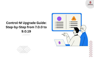 BMC Control-M Upgrade Steps
