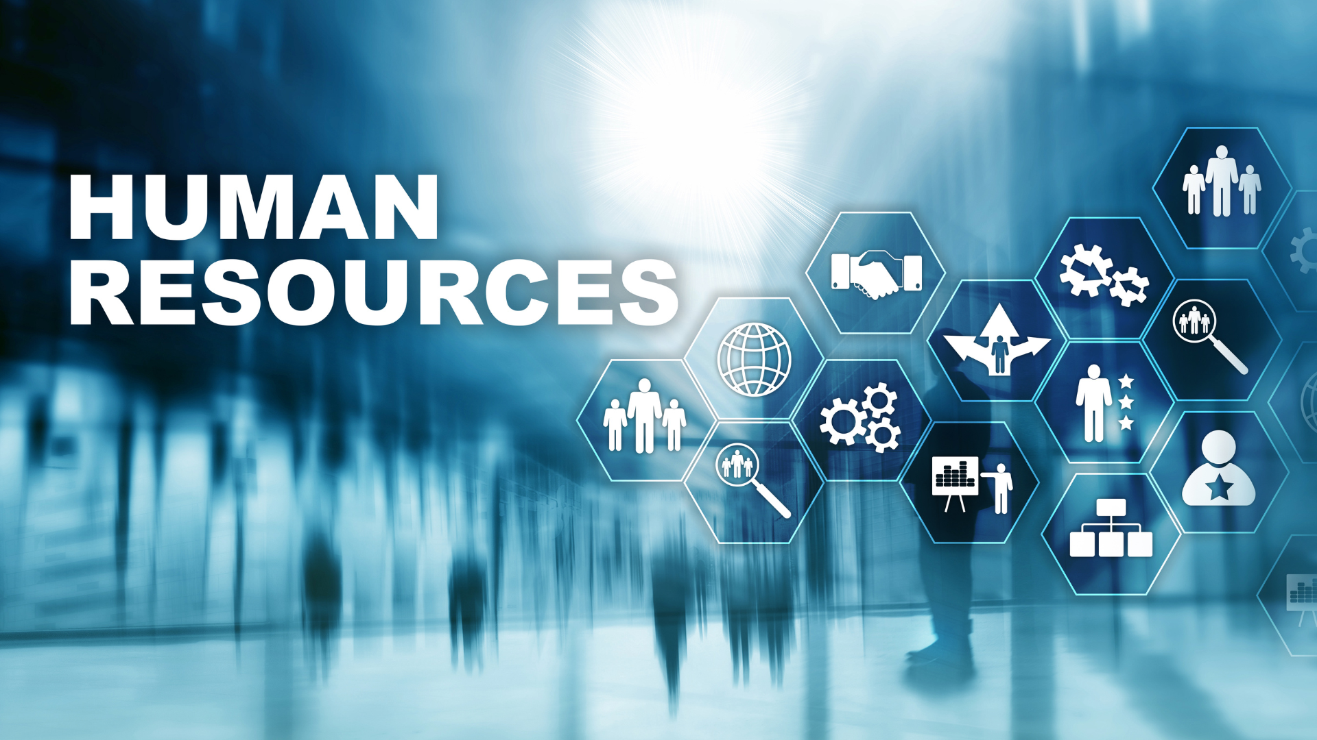 HR & Services